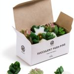 U Brands Succulent Push Pins Set, Office Supplies, Three Assorted Styles, 9 Count-0