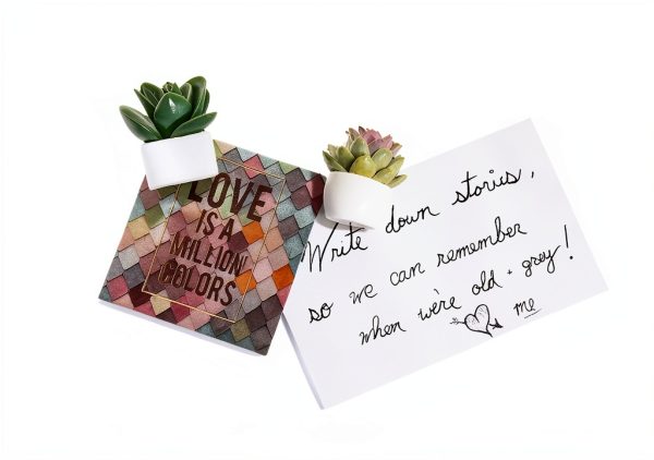 U Brands Succulent Push Pins Set, Office Supplies, Three Assorted Styles, 9 Count-6