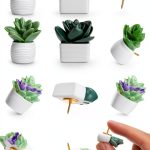 20 Pieces Cute Succulent Plants Decorative Push Pins Colorful Floret Thumbtacks for Photo Wall, Feature Wall, Whiteboard, Cork Board, Map, Bulletin Board, Office or Home (Three Assorted Styles)-0