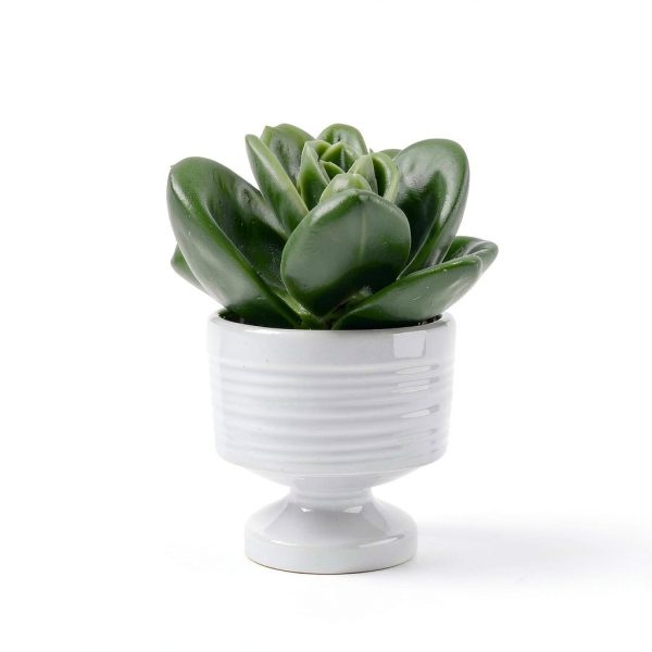 20 Pieces Cute Succulent Plants Decorative Push Pins Colorful Floret Thumbtacks for Photo Wall, Feature Wall, Whiteboard, Cork Board, Map, Bulletin Board, Office or Home (Three Assorted Styles)-2